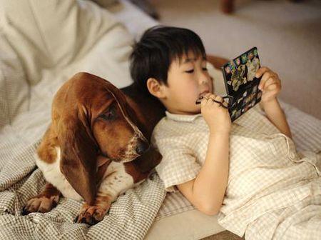 狗狗不睡狗窝睡床怎么训练,狗狗不睡狗窝睡地上感冒