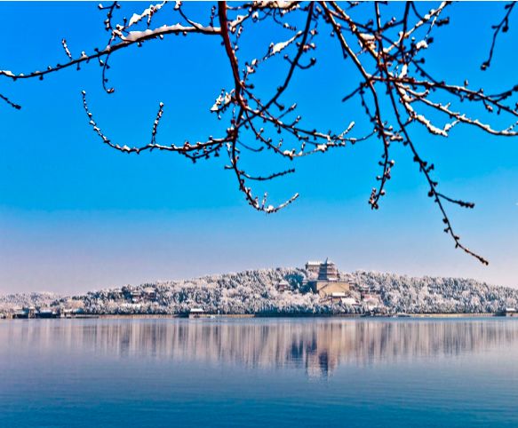「诗词鉴赏」春雪正纷纷,古诗词里的春雪,纷纷扬扬
