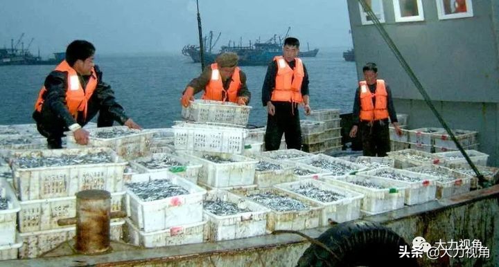 收藏海参干货,朝鲜有哪些有收藏价值的东西