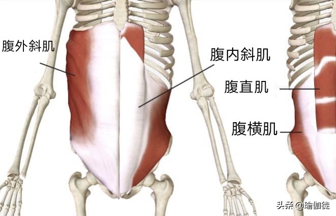 翘屁股影响发育吗,翘二郎腿骨盆倾斜危害