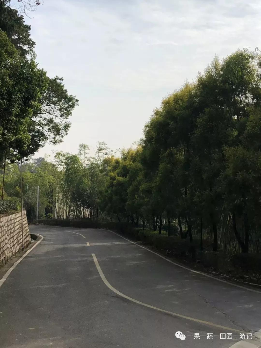 福州闽侯旗山温泉,福州旗山森林温泉度假村团购