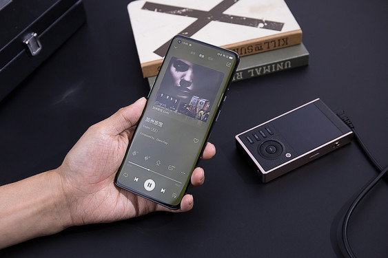 hifiman鍠滈┈鎷夐泤,Hifiman鍠滈┈鎷夐泤鑺墖