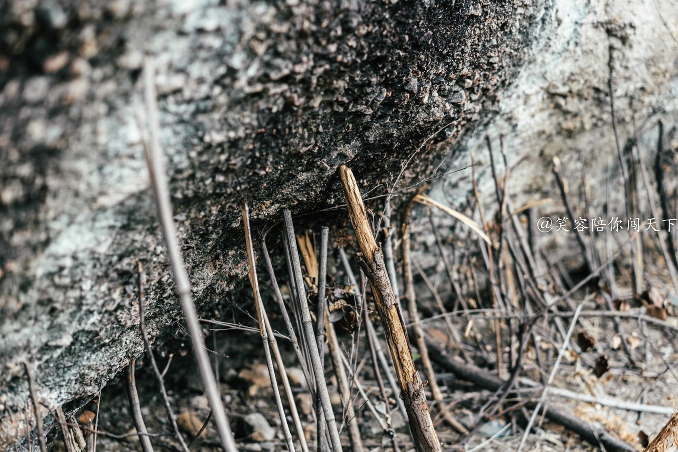 到安徽旅游景点,到安徽六安旅游