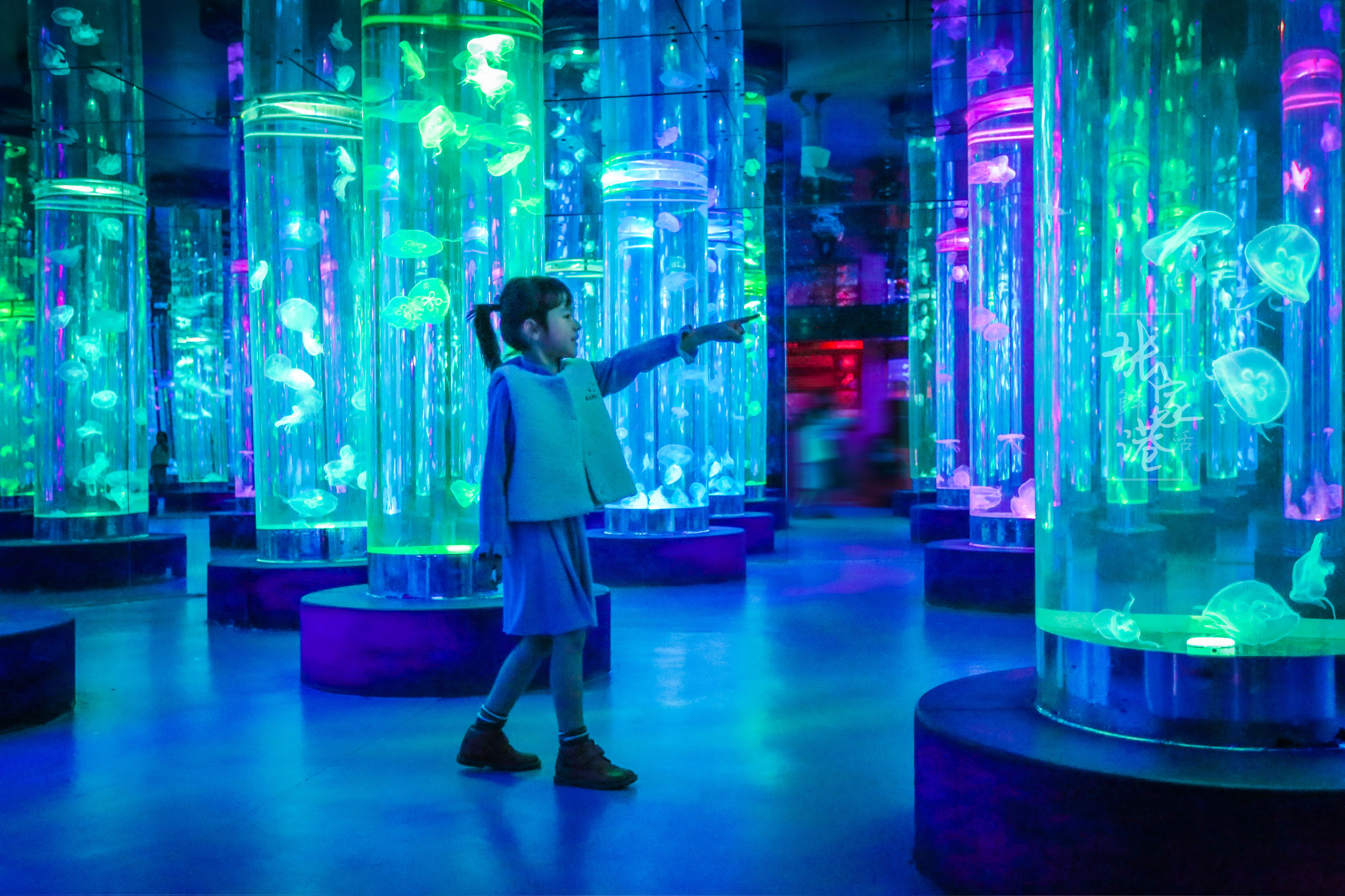 张家港的这座商场里竟然藏了这么大的海洋馆，一天电费高达一万元