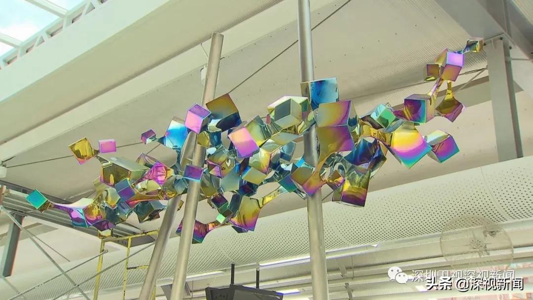 地铁6号线最新图,深度解析地铁6号线