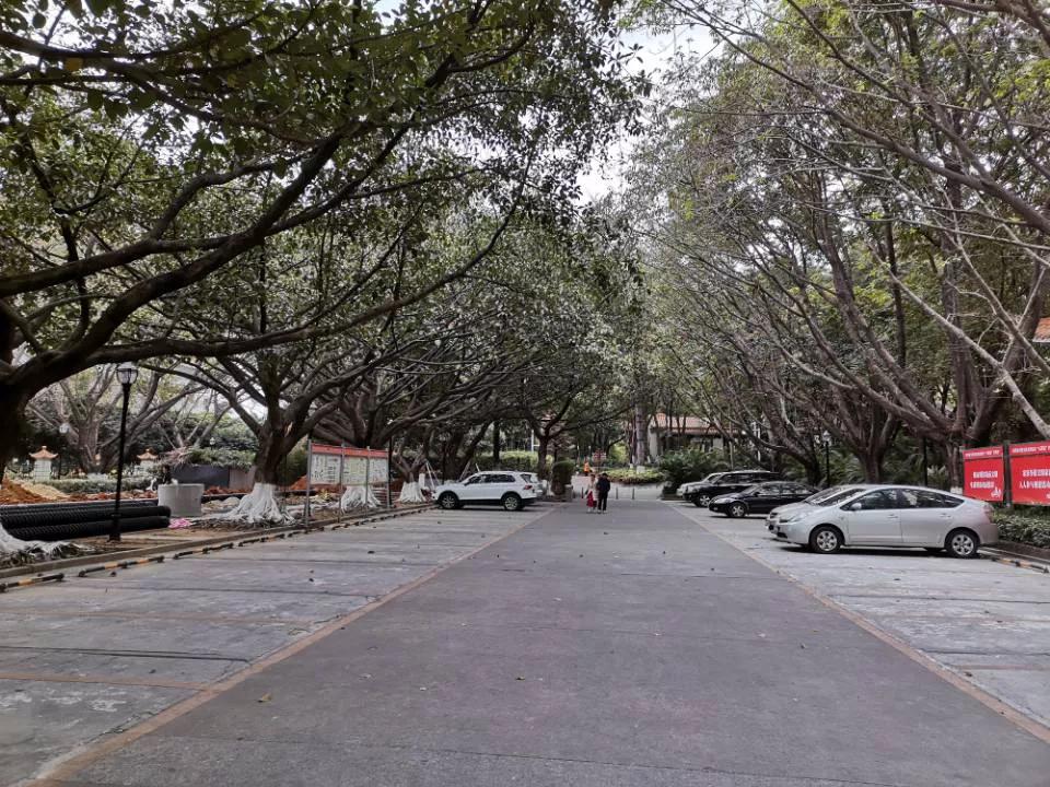 东莞买房哪个新楼盘好,东莞房价4万一平还要不要买