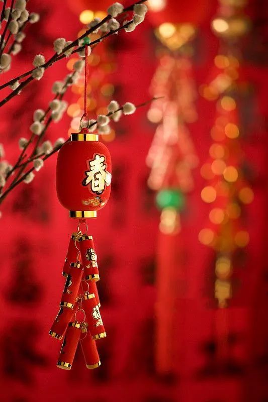 世纪新都鸿耀中国年,世纪新都红耀中国年