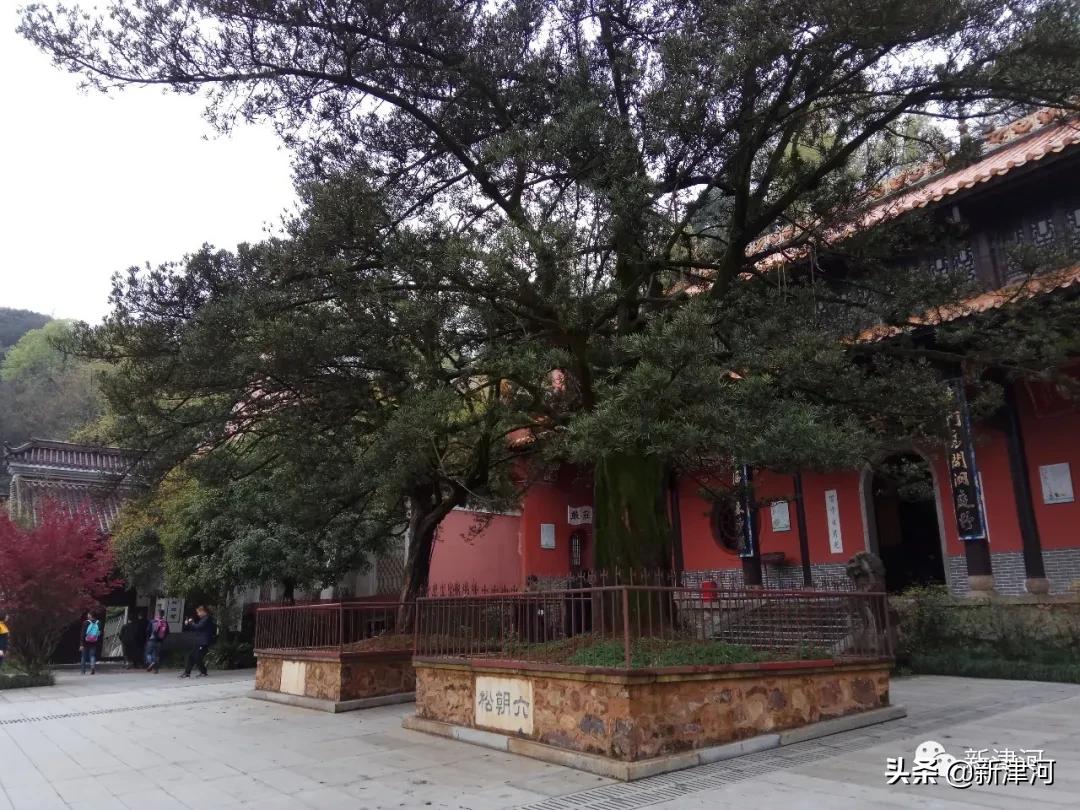 一个人的远方,一个人的远方太原站