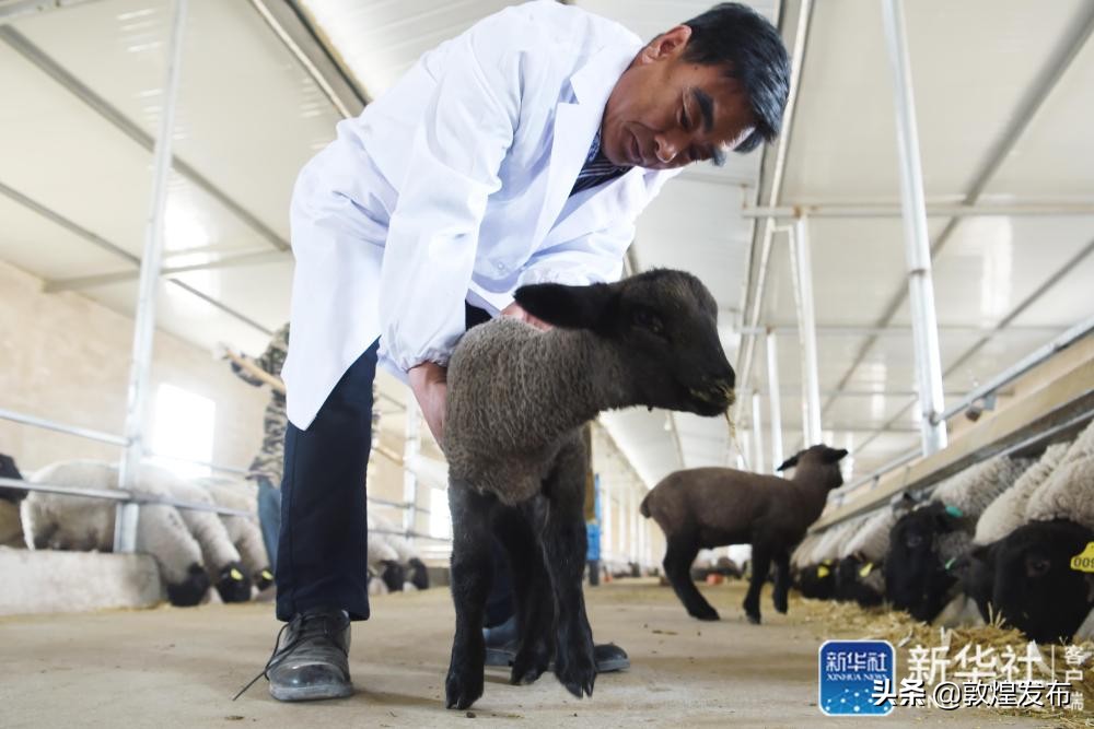 记者手记电影完整版,记者手记脱贫攻坚