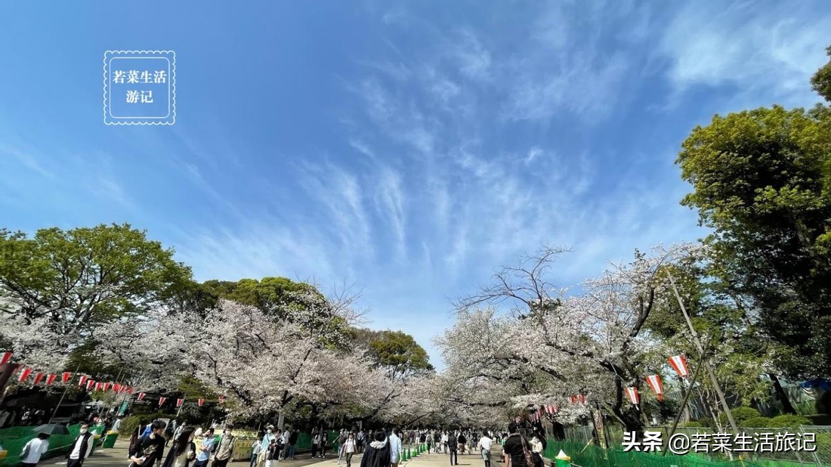 东京上野到富士山攻略 (秋叶原车站山手线)