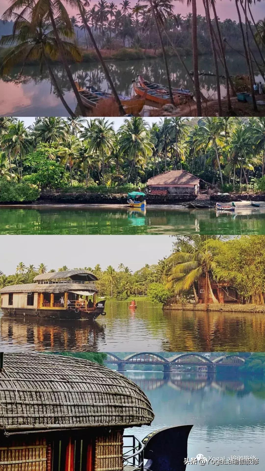 YogaLa2019印度南部阿育啡陀认证课程+排毒解压之旅