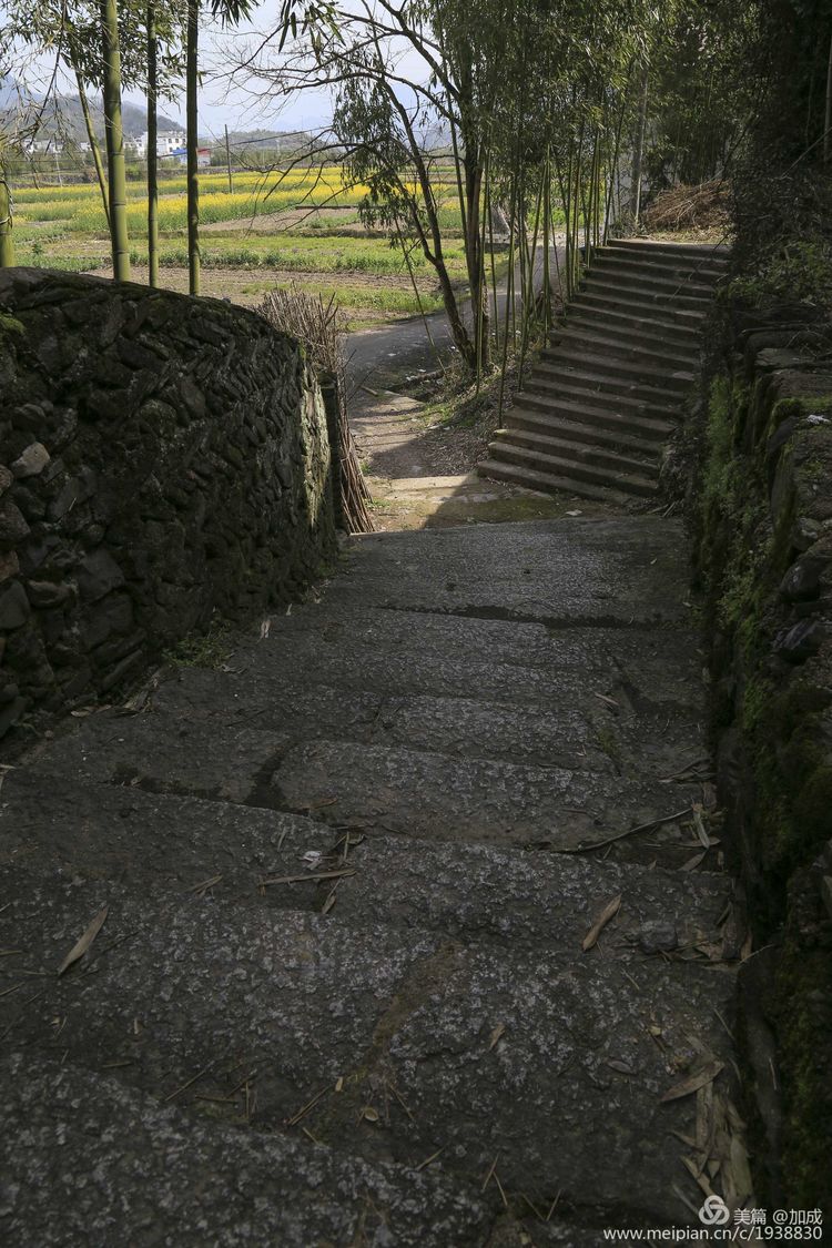 鍗拌薄姹潙,澶у簷姹潙