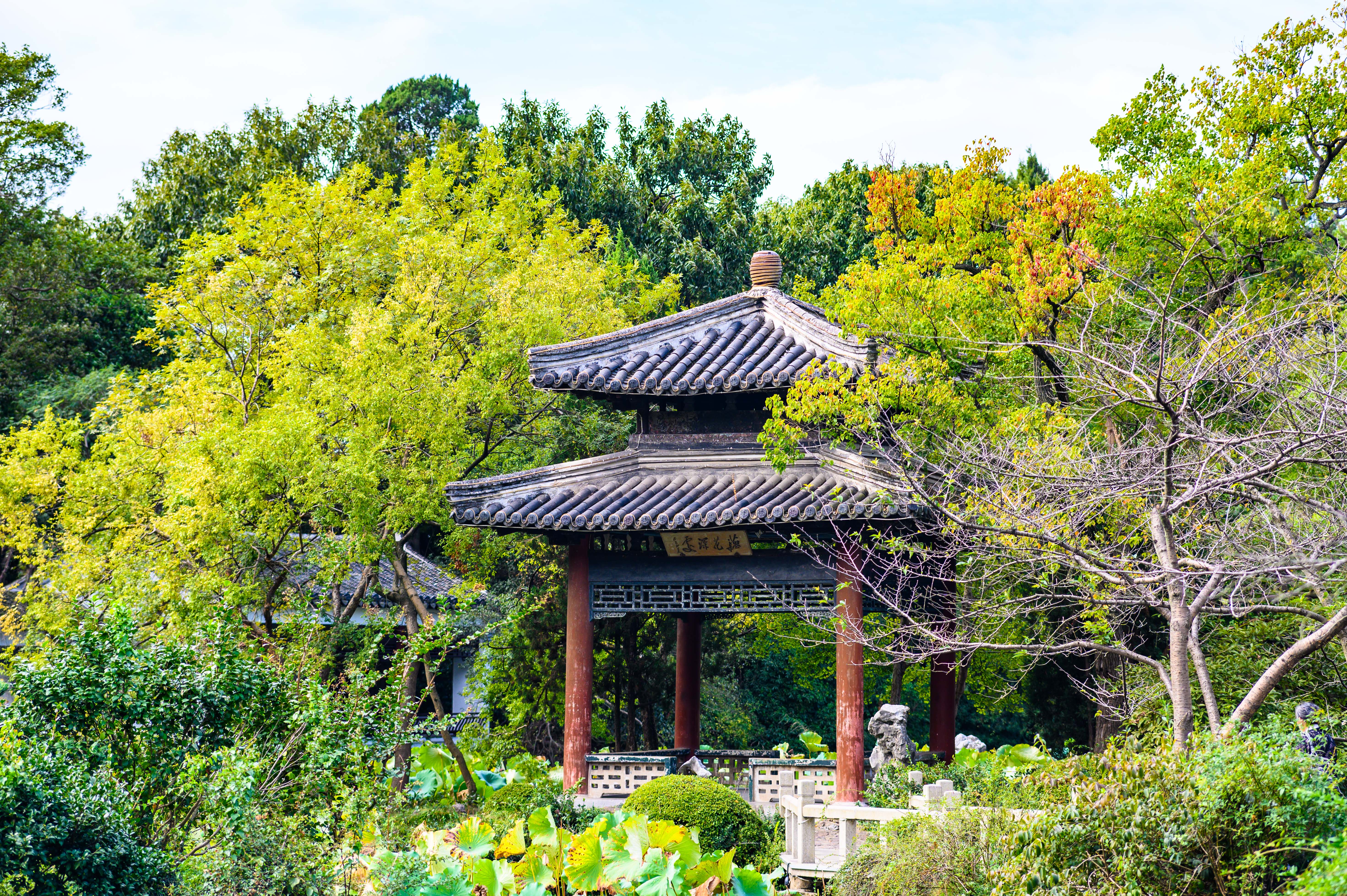 鼋头渚夏季游玩攻略,鼋头渚游玩攻略夏季