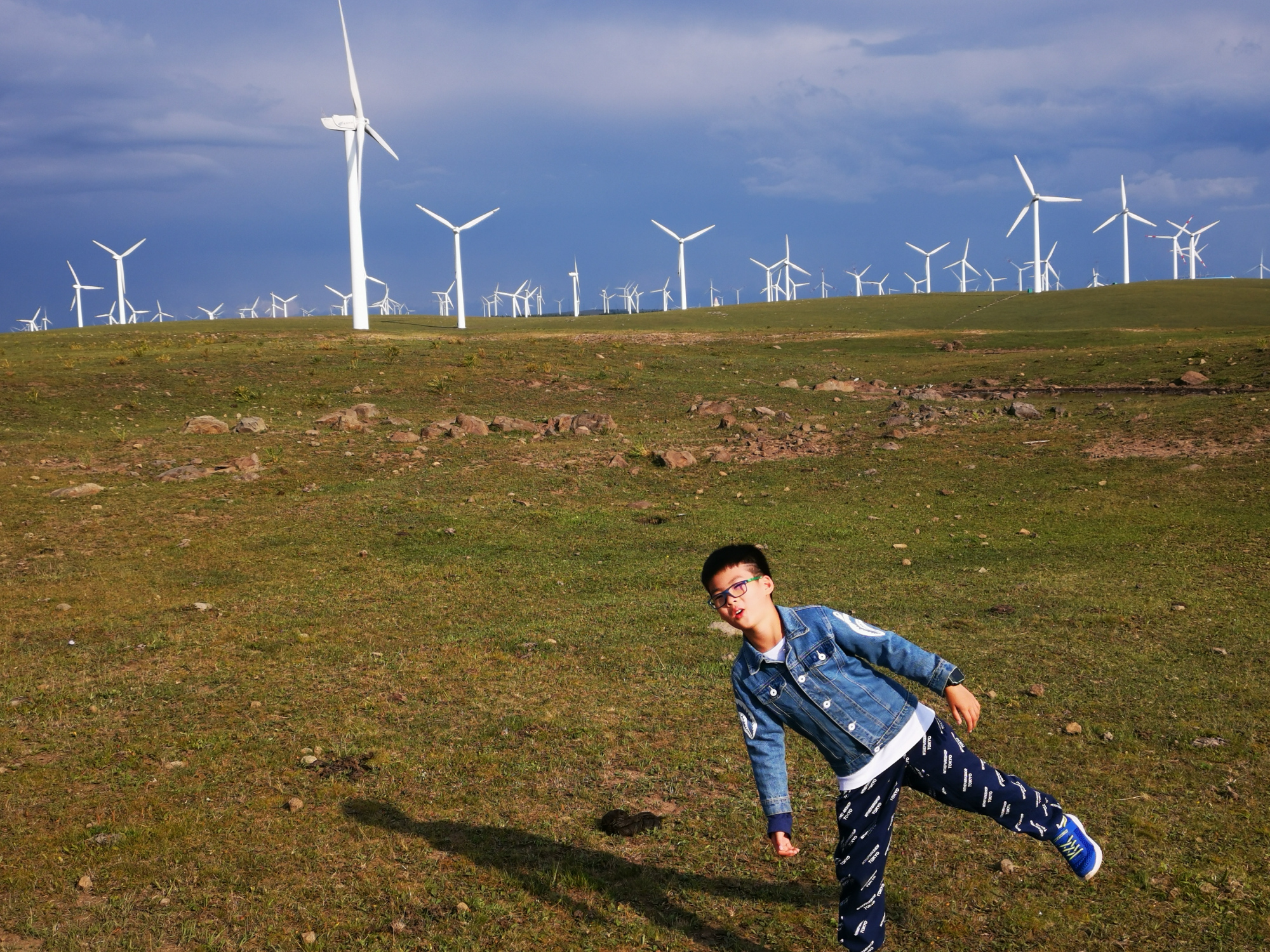 红松洼和乌兰布统哪个好,乌兰布统坝上草原旅游攻略