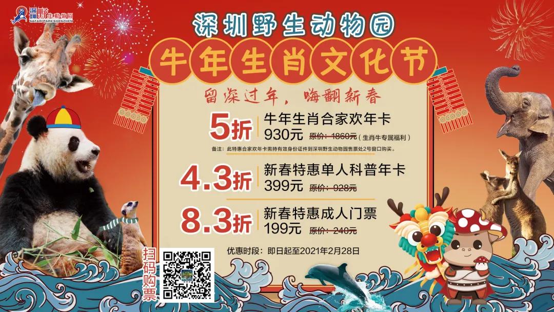 此心安处是吾乡21预告,此心安处是吾乡全季