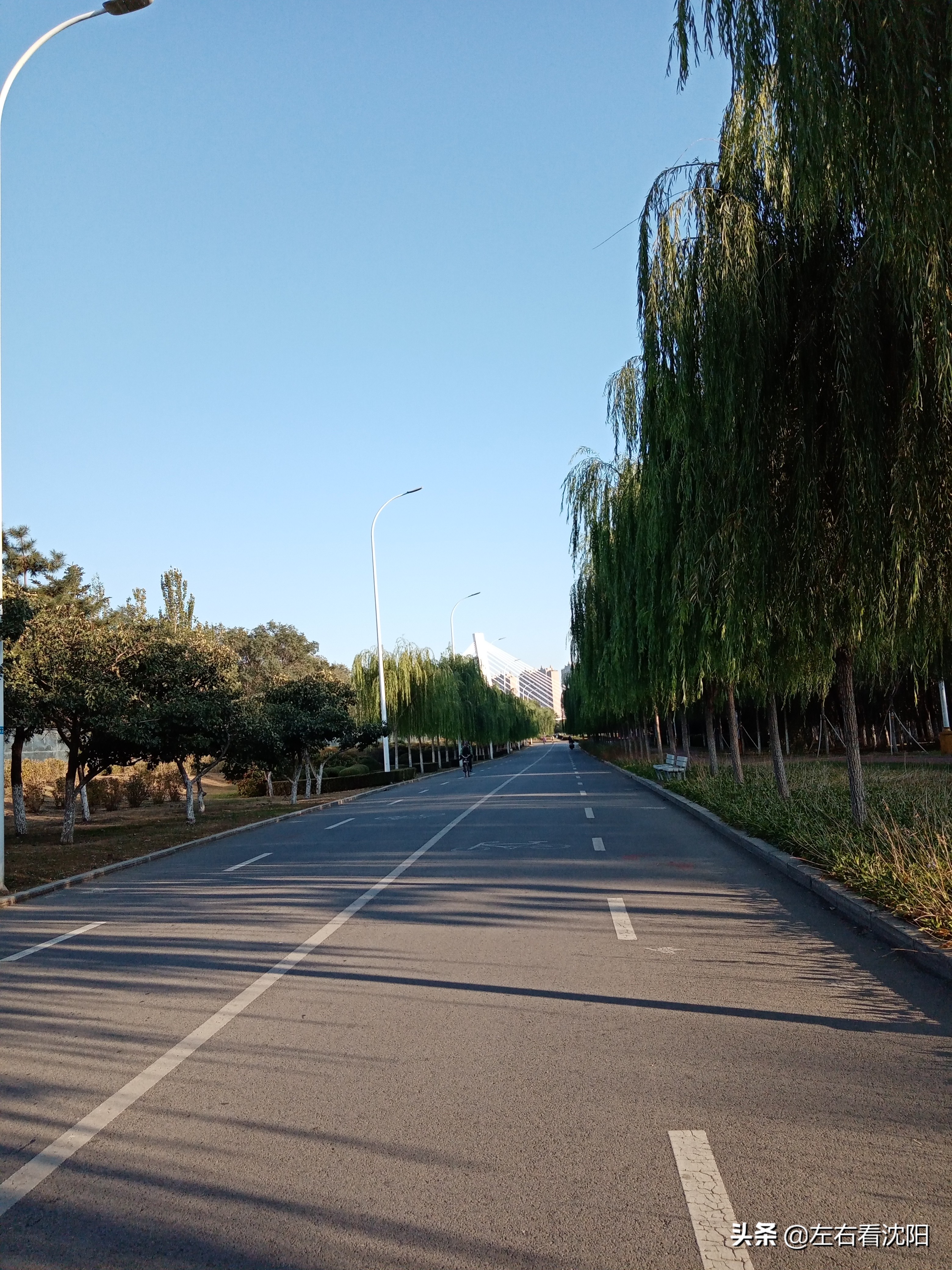 沈阳五里河公园攻略,沈阳五里河公园现在开吗