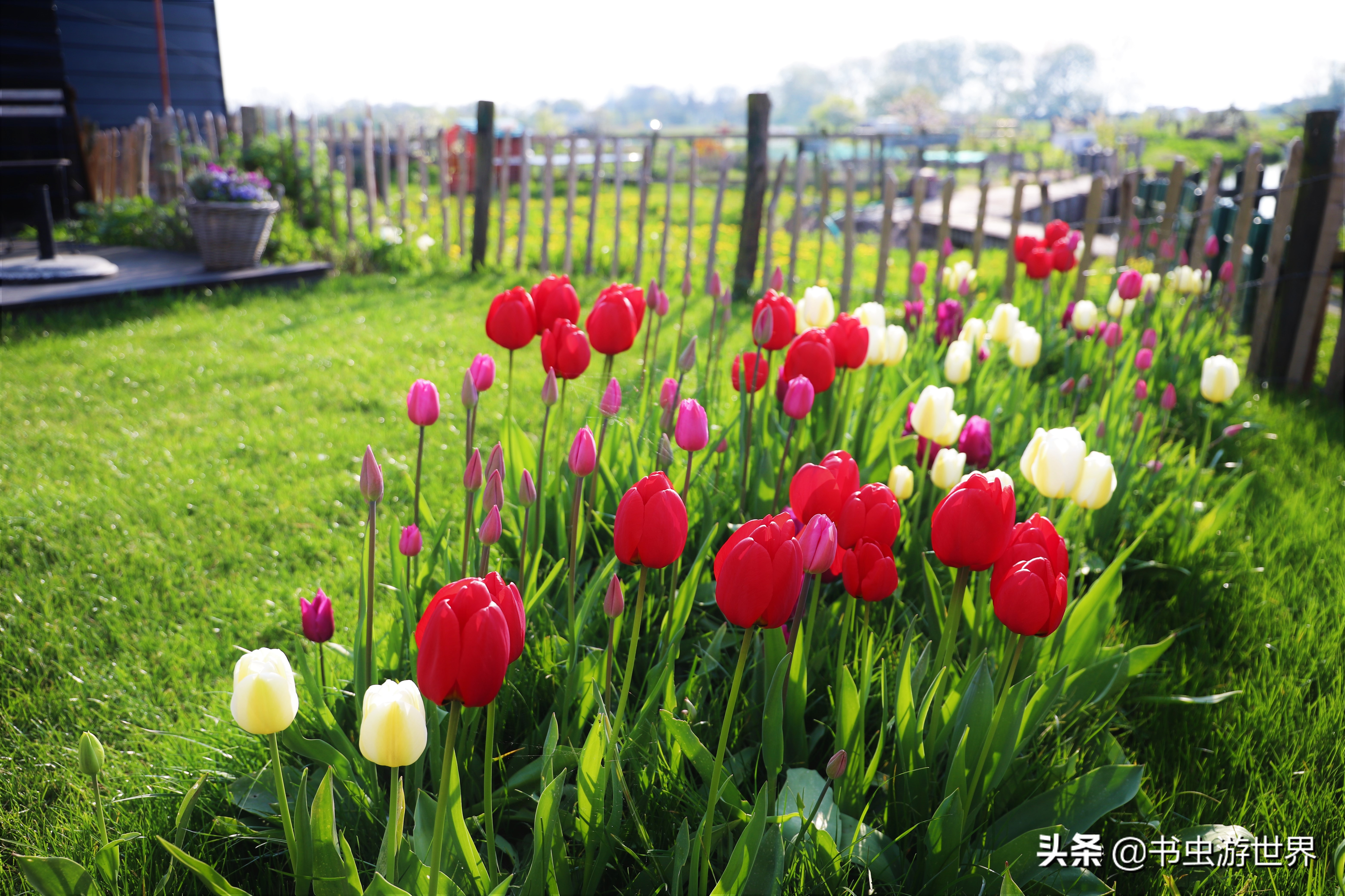 红顶小木屋,红顶绿墙小木屋