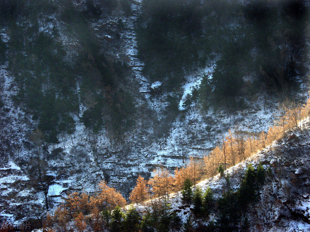 长治是个什么样的城市,一个南方人眼中的鄂尔多斯