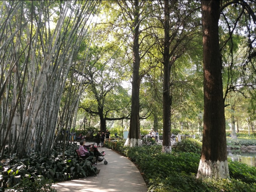 黄花岗公园图片大全,黄花岗公园门票多少钱