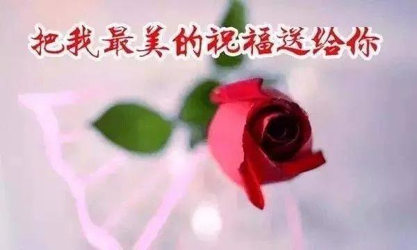 米没开封放一年还能吃吗,米放久了里面有虫子还能吃吗