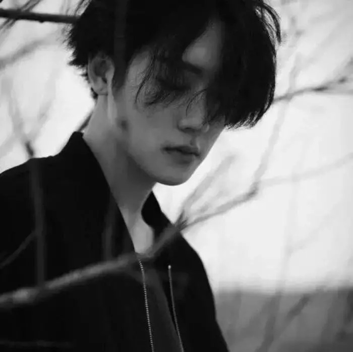 黑白灰微信头像,黑白灰头像含义