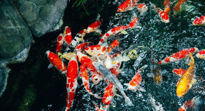 浅草寺旅游攻略,日本东京旅游攻略自由行浅草寺