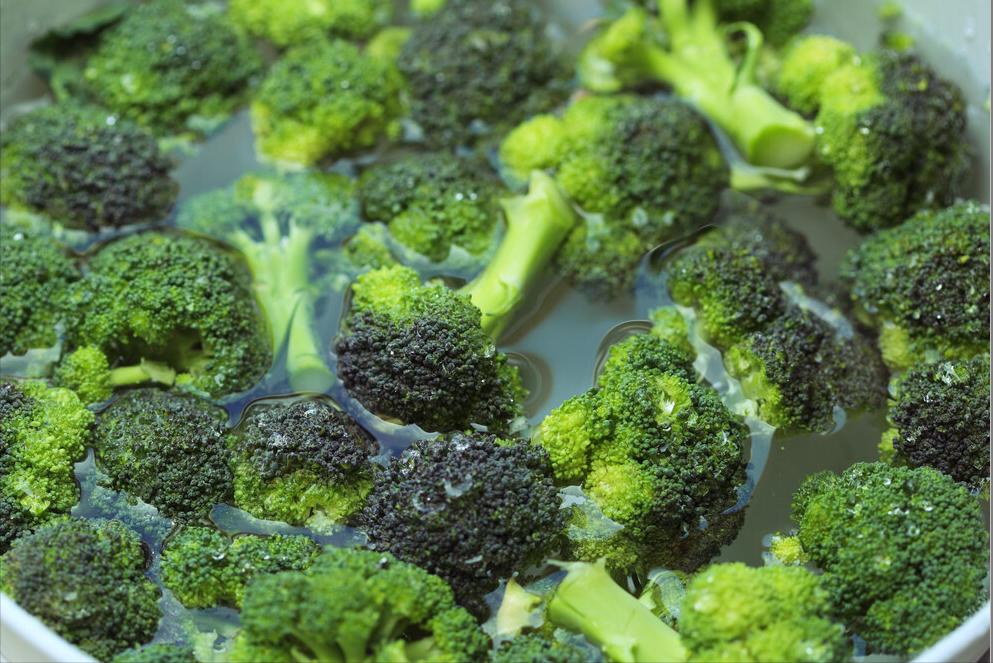 西兰花里有好多虫和虫卵还能吃吗,长期吃了西兰花上面的虫卵怎么办