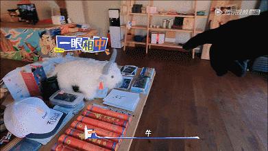 刘·哆啦A梦·昊然，到底还有多少隐藏实力？