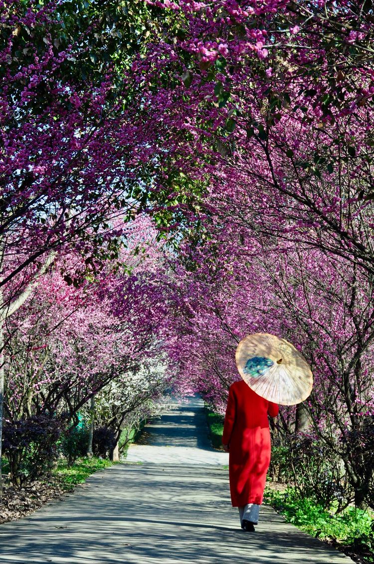 傅家边野营,走进金溪傅家村