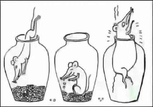 实盘配资和虚拟盘的区别,如何辨别虚拟盘配资