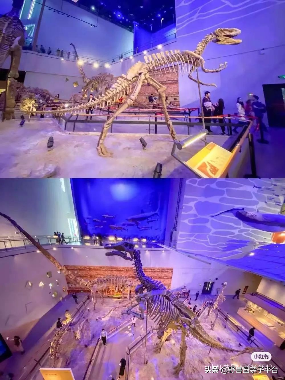 广州遛娃出游,广州遛娃3-4天攻略