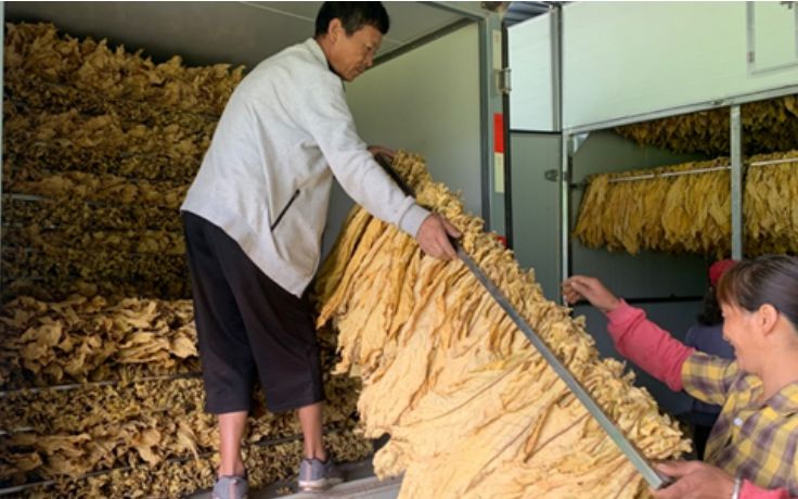 云南云美村:怎样靠丰收告别了贫困?