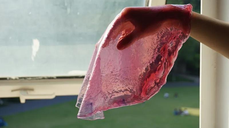 食物设计案例,健康饮食的设计意图