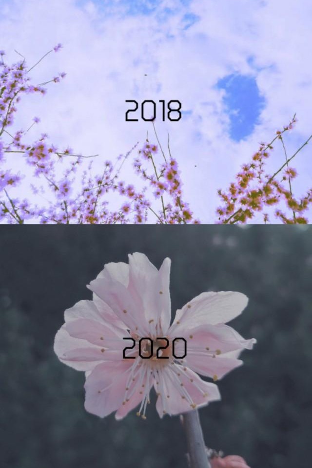 十大最好的摄影网站推荐,值得去看的摄影网站