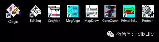 分子构建的正确流程是什么,分子构建最新技术