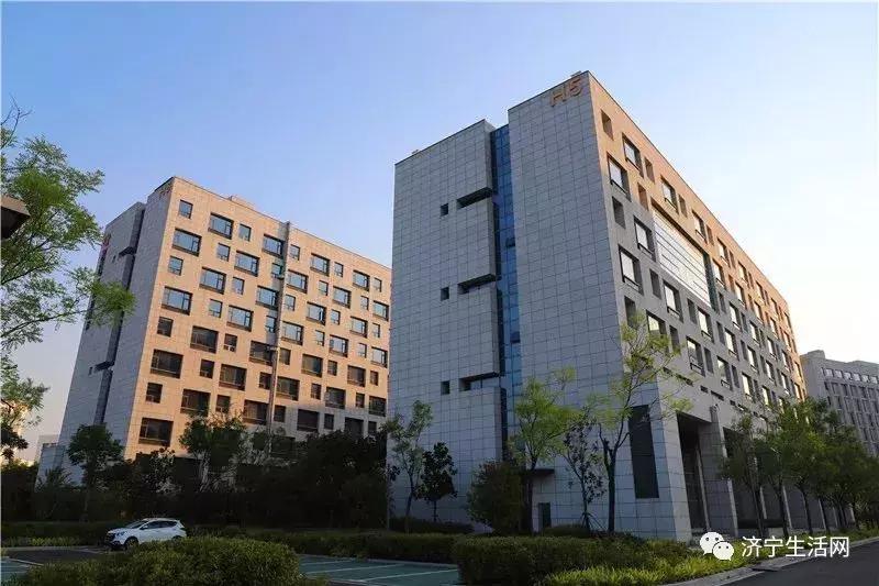 市长发话,济宁发布重大利好消息!惠及济宁800万人!