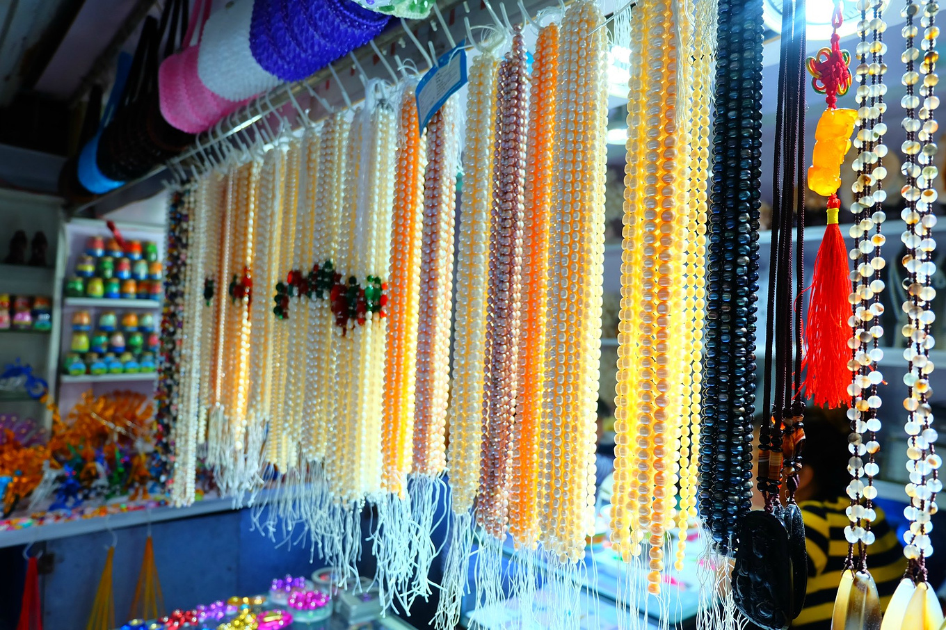 骆驼青岛,骆驼旅行在路上