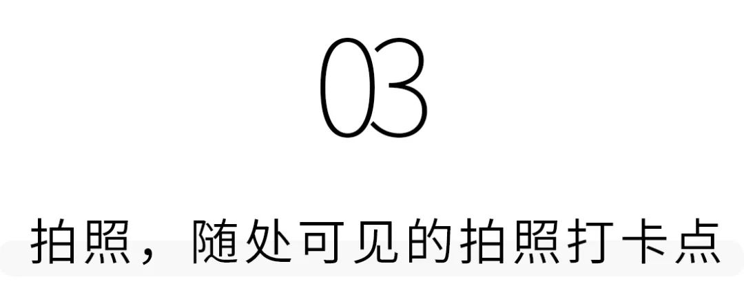 深圳大芬油画村一日游攻略,逛完深圳大芬油画村还能去哪玩
