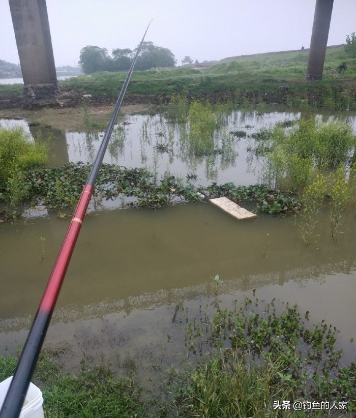 用蚯蚓钓鱼七星漂怎么调漂,用蚯蚓七星浮漂钓白条