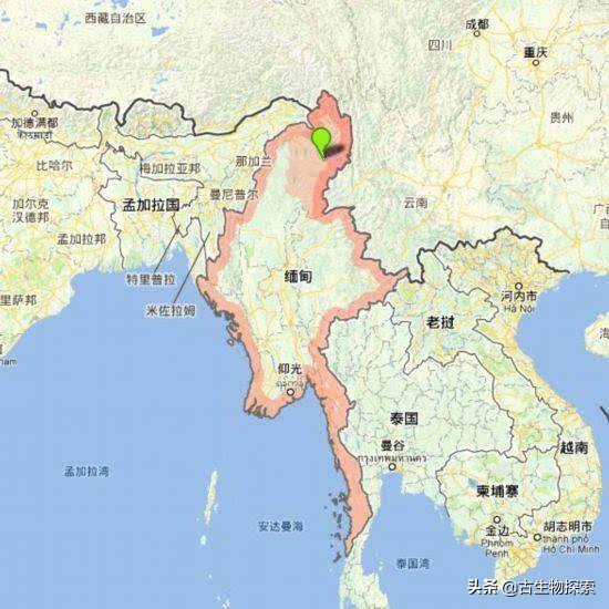 琥珀发现恐龙羽毛了吗,琥珀里面有恐龙羽毛