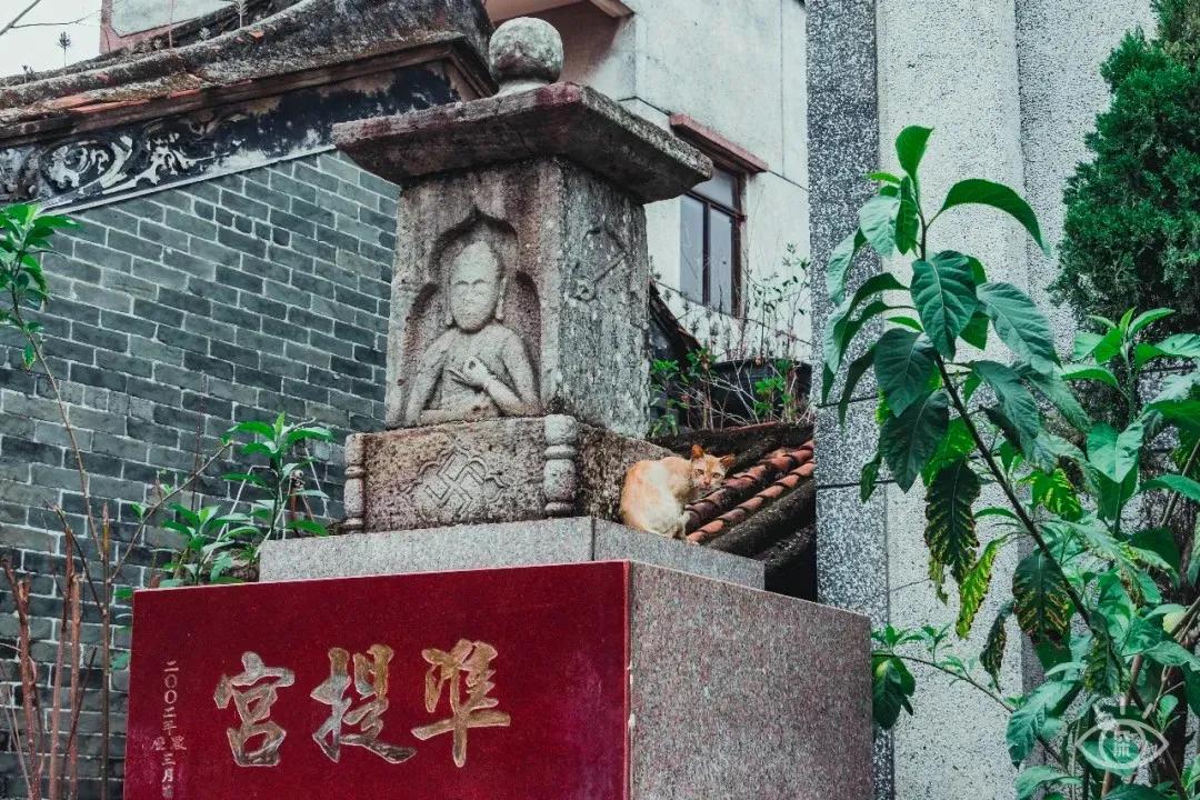 深圳古城风景图片,深圳大鹏古城晚上好玩吗