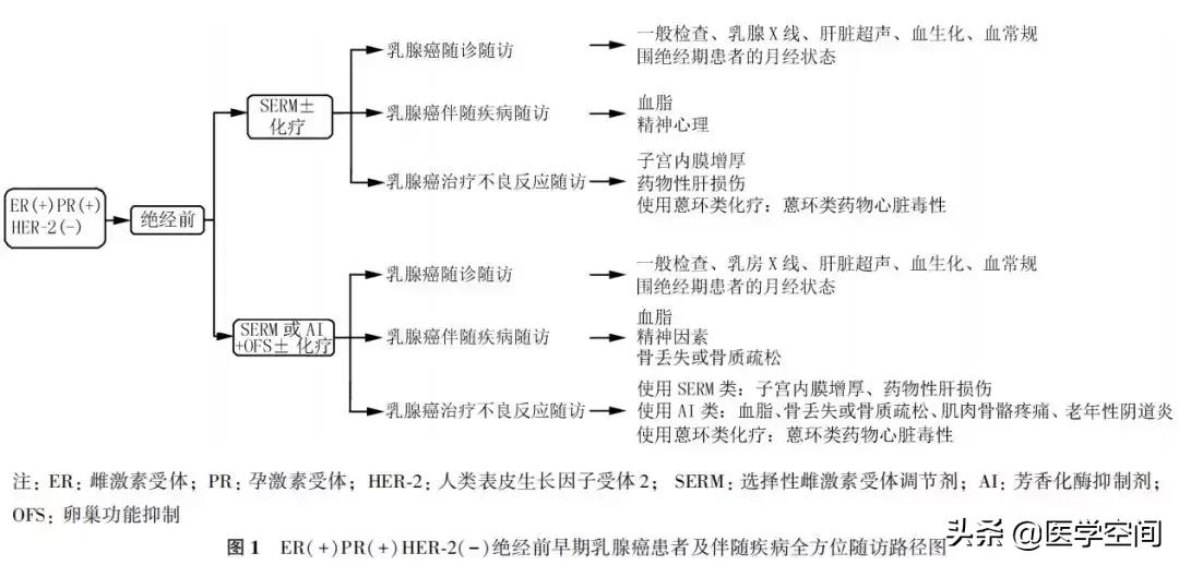 【指南与规范】乳腺癌随访及伴随疾病全方位管理指南