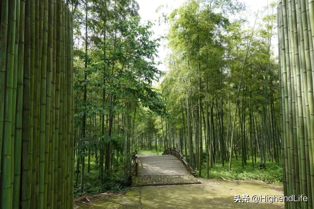 竹海、天池、蔓塘里丨请收下这份威兰达高性能版安吉自驾游指南