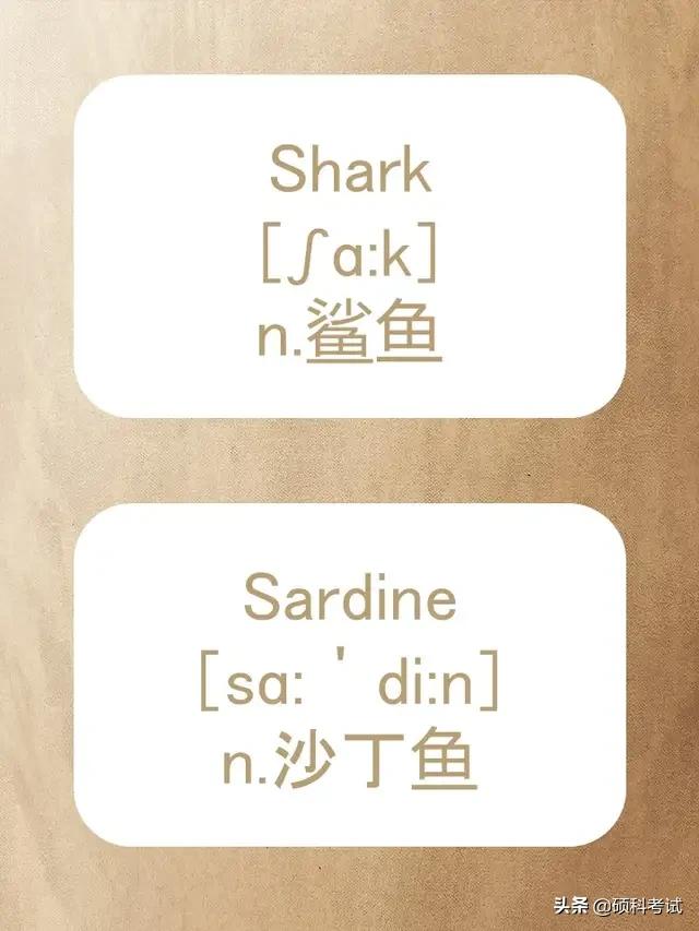 动物的英文拼写及音标,关于动物的单词及音标