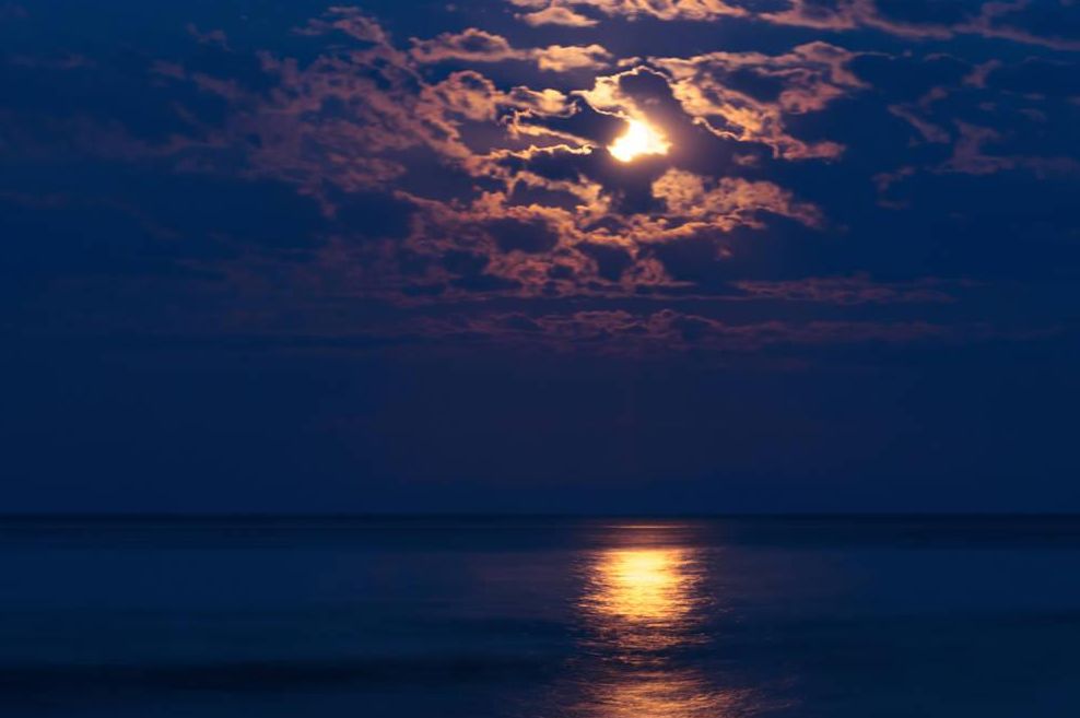 梦幻西游新手商人入坑什么比较好,梦幻西游商人套路大全攻略