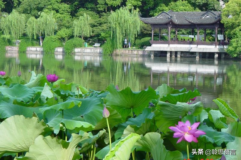 夏日诗句精选,30首夏日诗词人间最美是初夏