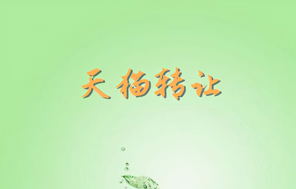 天猫店铺能不能买卖,天猫推好店能转让吗