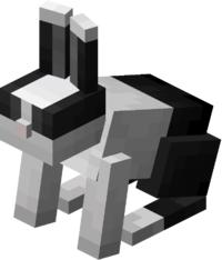 我的世界命名牌的7个彩蛋,mc命名牌的彩蛋