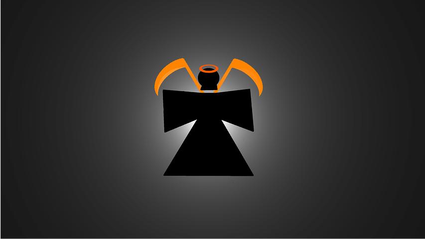 韭菜收割的真实感受,韭菜收割最好时机