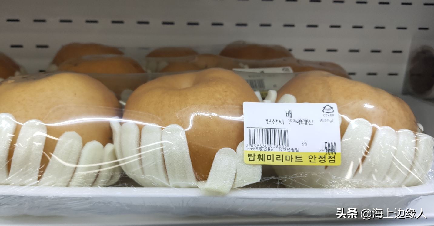 旅行日记:船员韩国下地购物,终于踏上陆地,心情无比激动